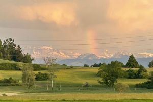 Ilona-Regenbogen