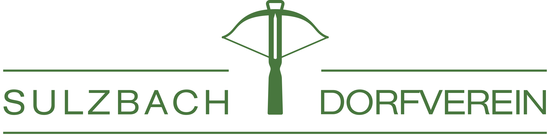 Logo DV Sulzbach